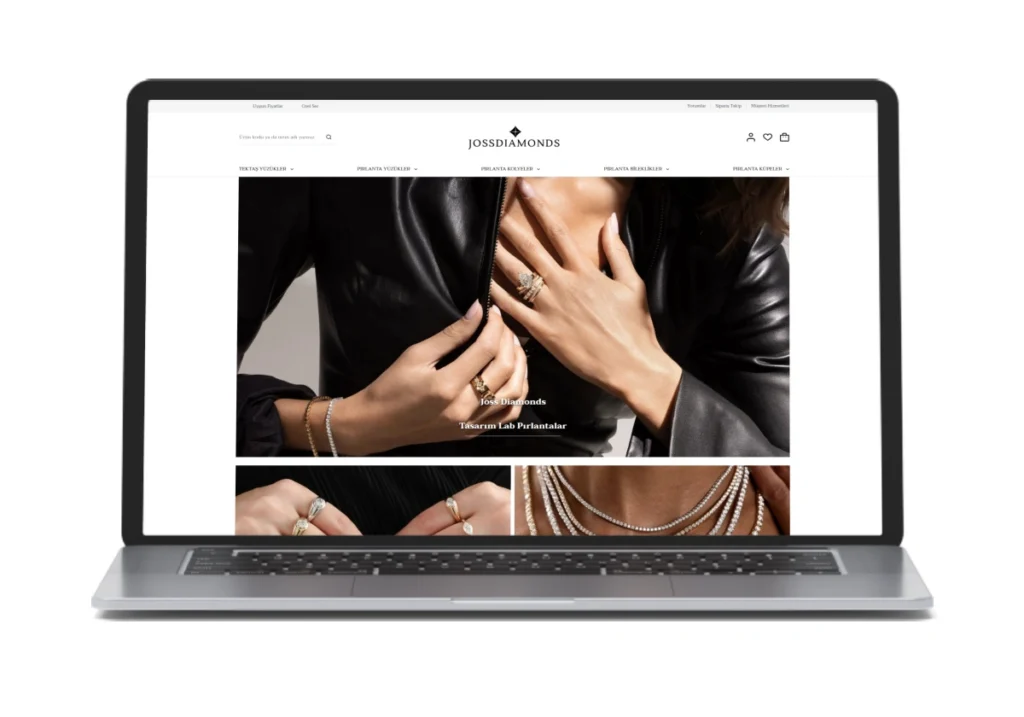 Portfolio image
