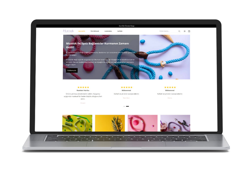 Portfolio image