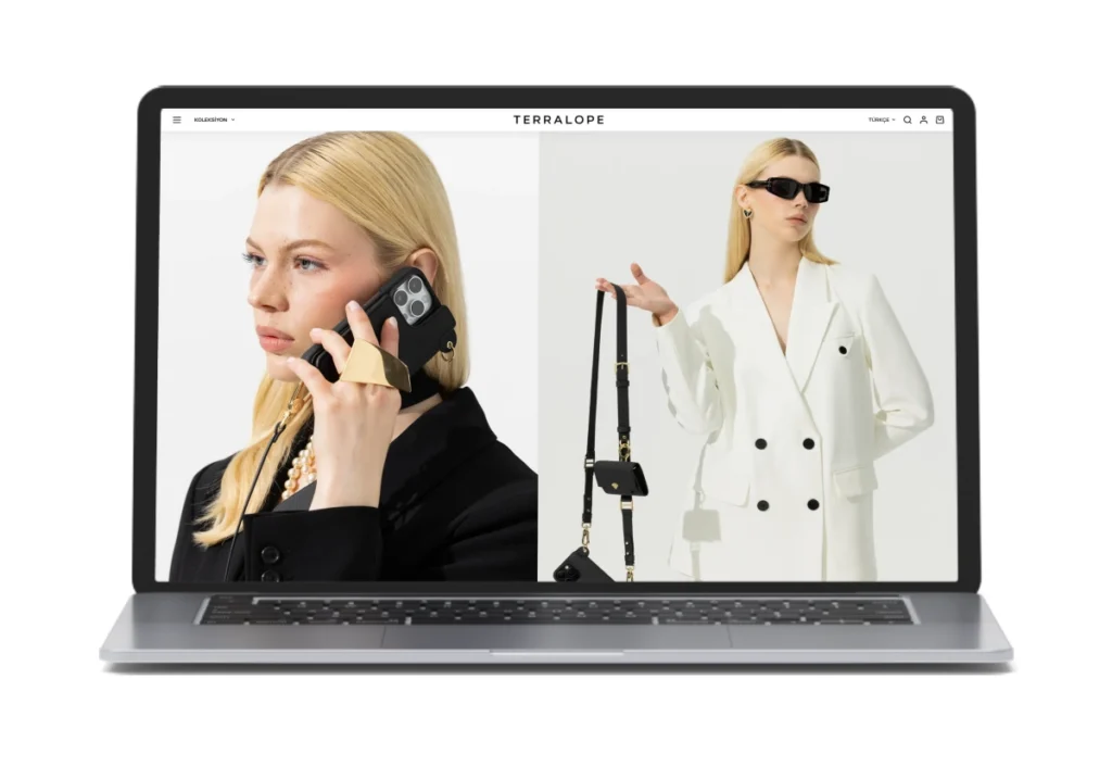 Portfolio image